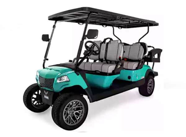 Honor 6 Passenger Lithium LSV